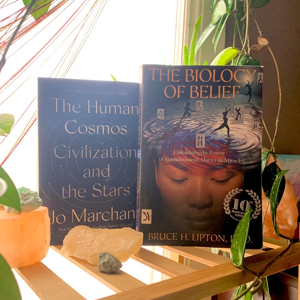 Human Perception/Spiritual Science Book Bundle